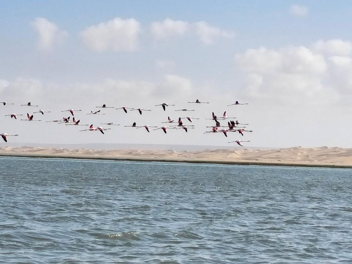 Tarfaya Hotel El Ghazi מראה חיצוני תמונה