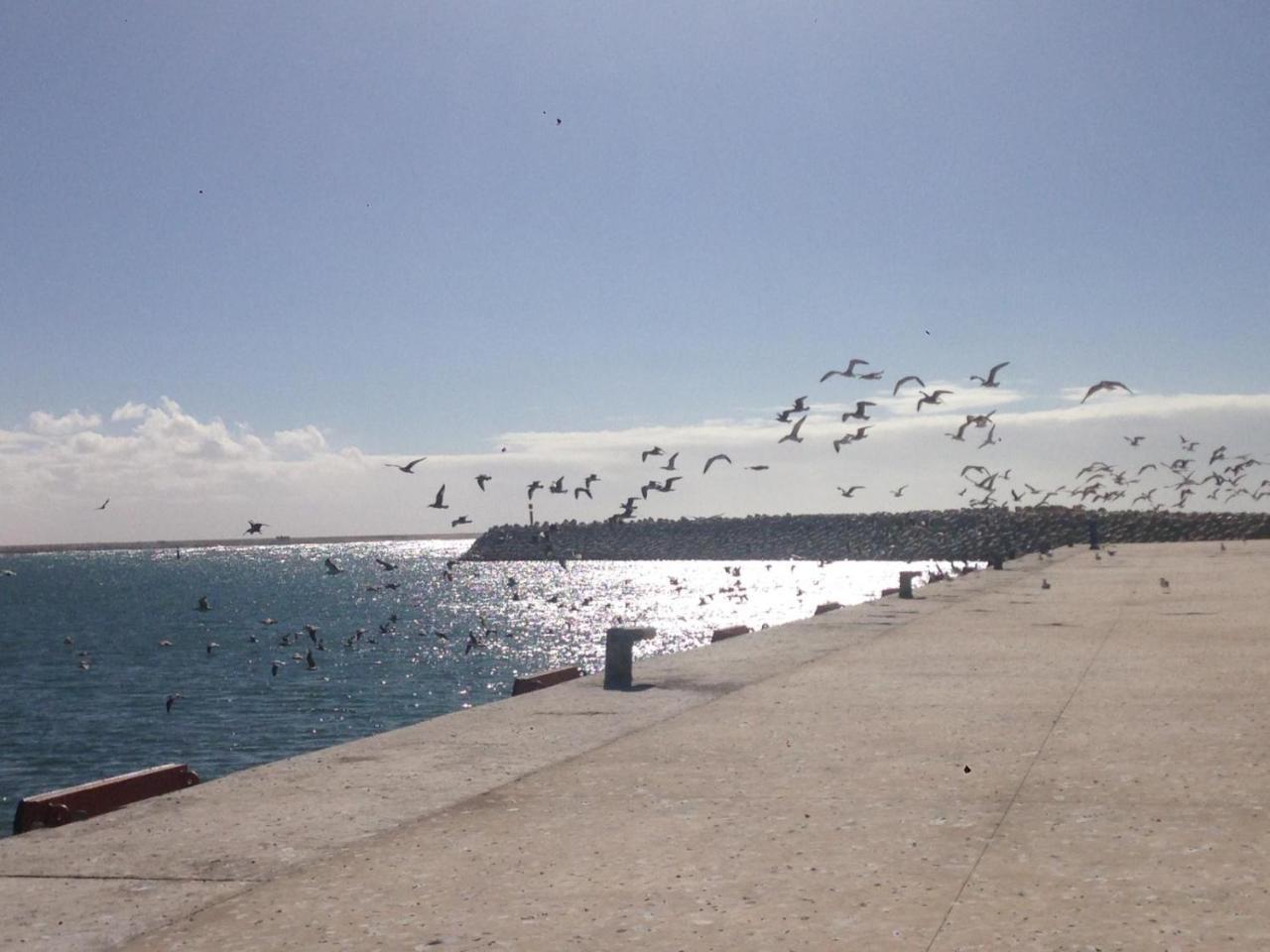 Tarfaya Hotel El Ghazi מראה חיצוני תמונה
